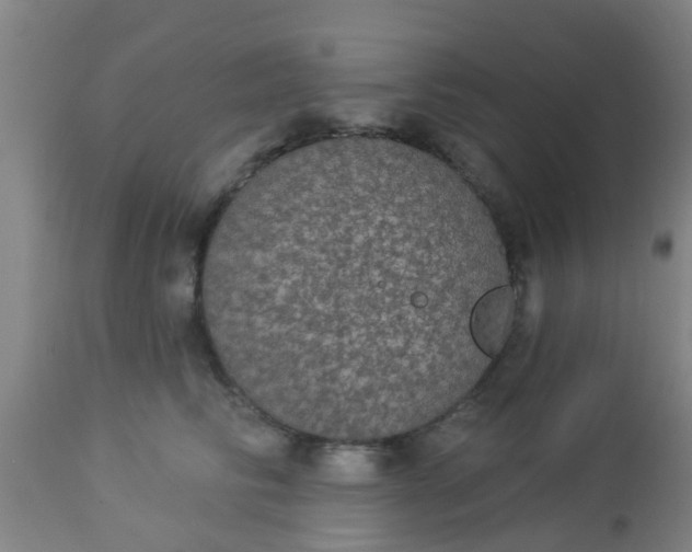 X0000112910710200909071534