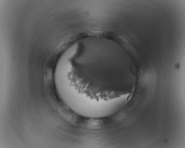 X0000112910711200909071534