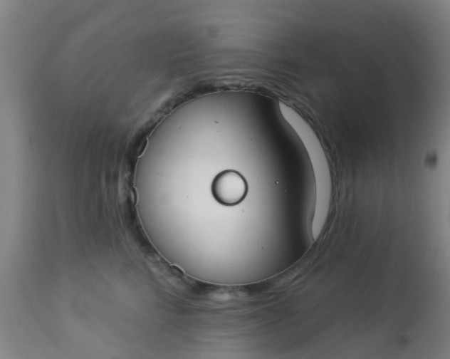 X0000112910712200909071534