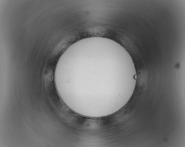 X0000112910713200909071534