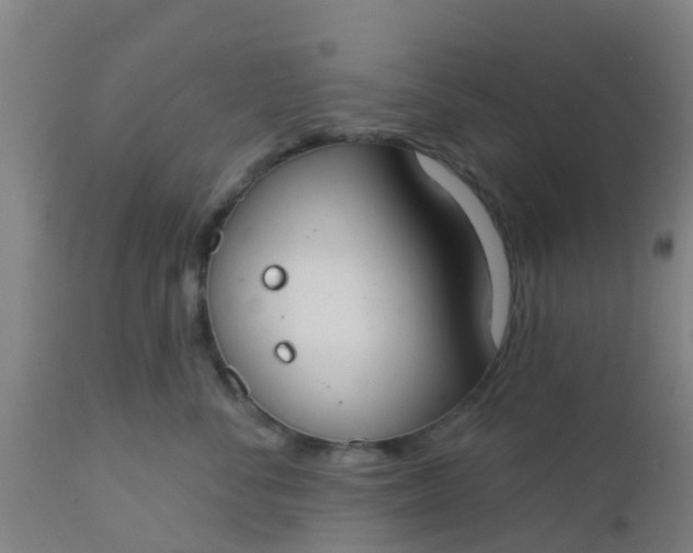 X0000112910716200909071534