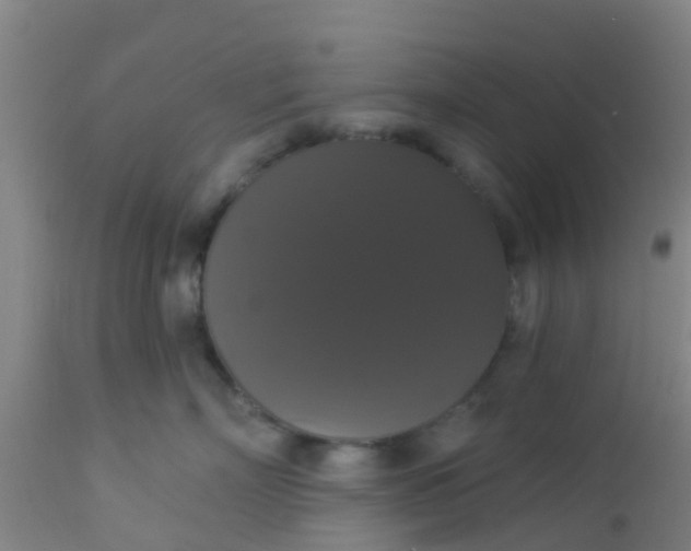 X0000112910718200909071534