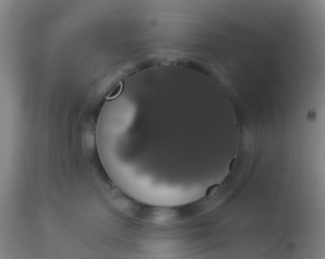 X0000112910719200909071534