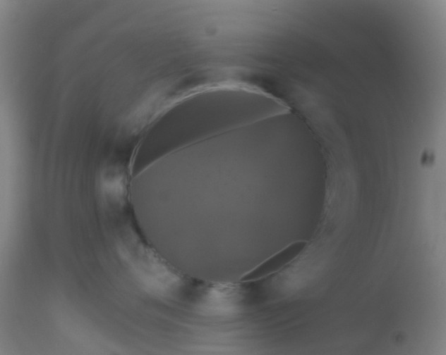 X0000112910720200909071534