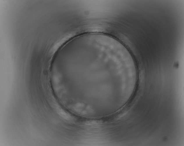 X0000112910721200909071534