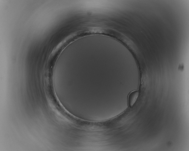 X0000112910722200909071534