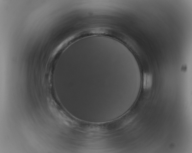 X0000112910723200909071534