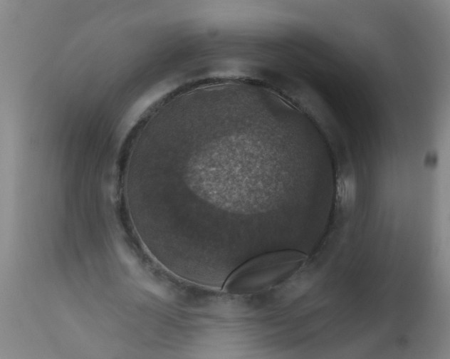 X0000112910724200909071534