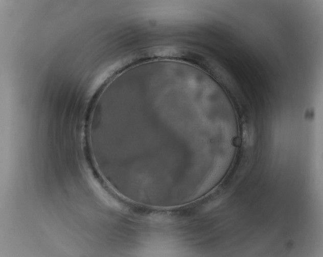 X0000112910725200909071534