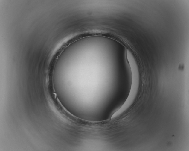 X0000112910726200909071534