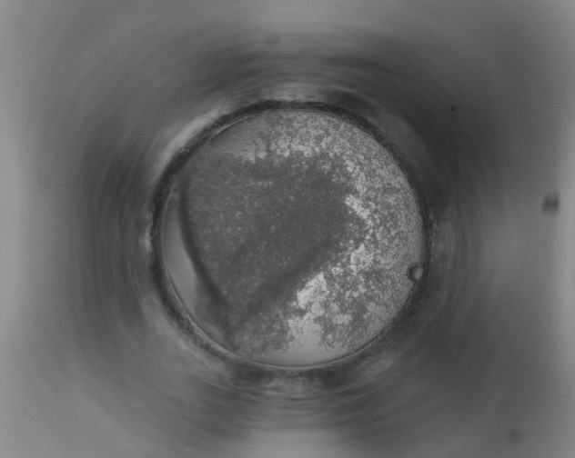 X0000112910727200909071534