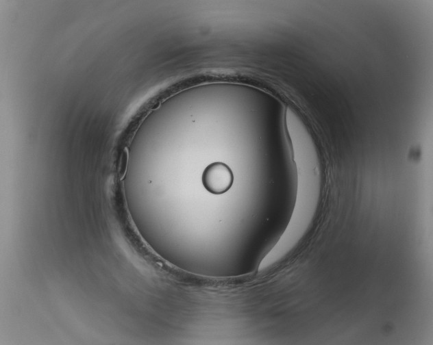 X0000112910728200909071534