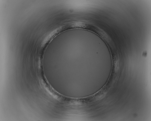 X0000112910729200909071534