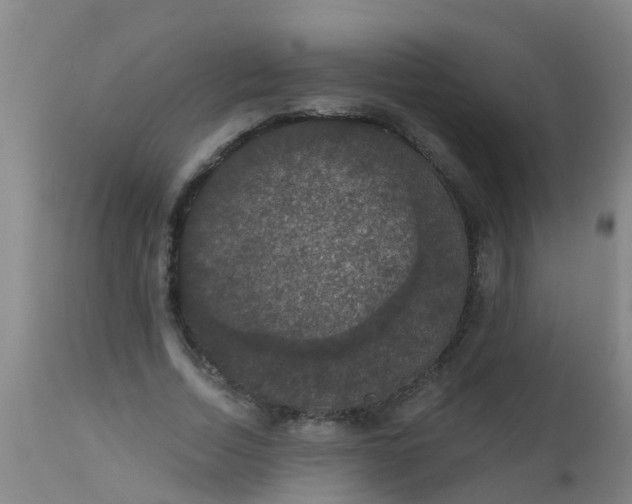 X0000112910730200909071534