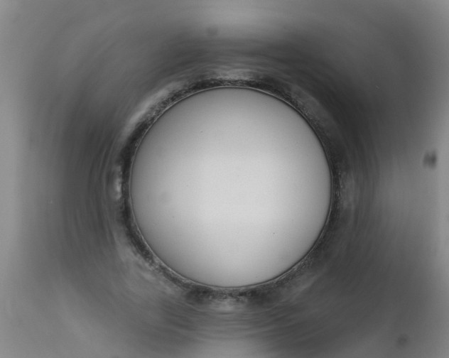 X0000112910731200909071534