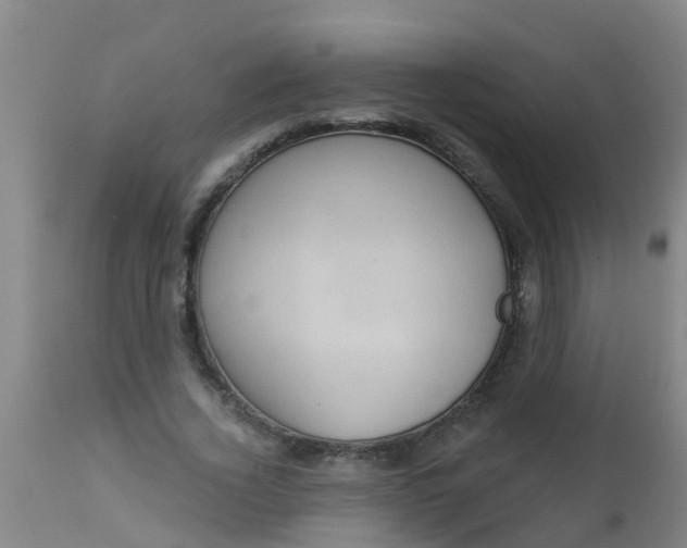 X0000112910732200909071534