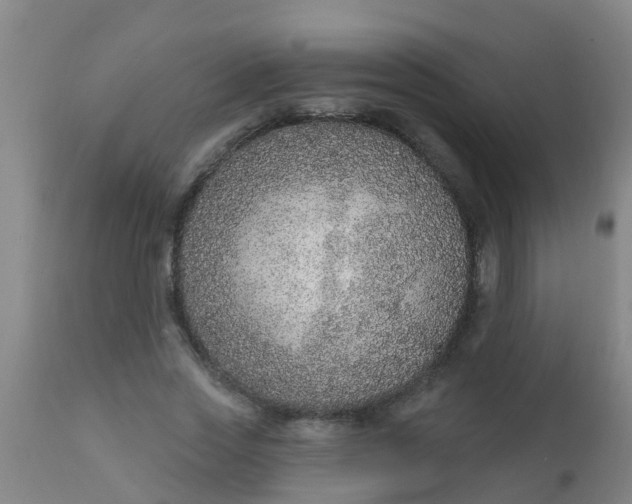 X0000112910733200909071534