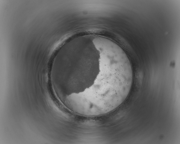 X0000112910734200909071534