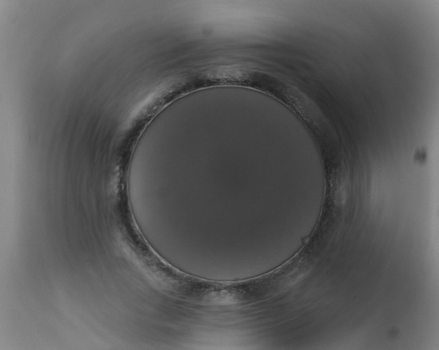 X0000112910735200909071534