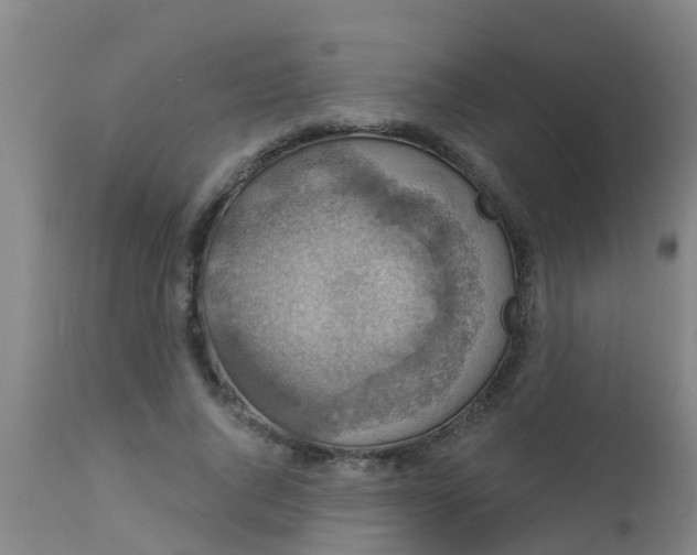 X0000112910736200909071534