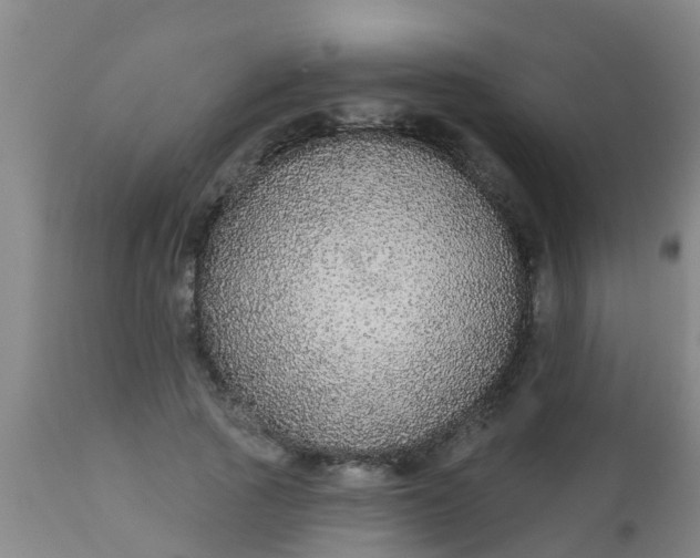 X0000112910737200909071534