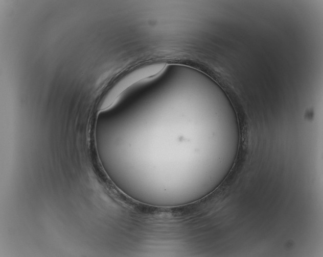 X0000112910740200909071534