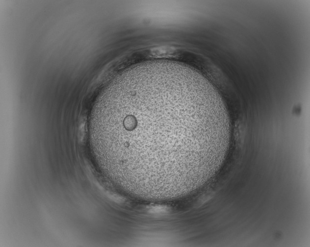 X0000112910741200909071534