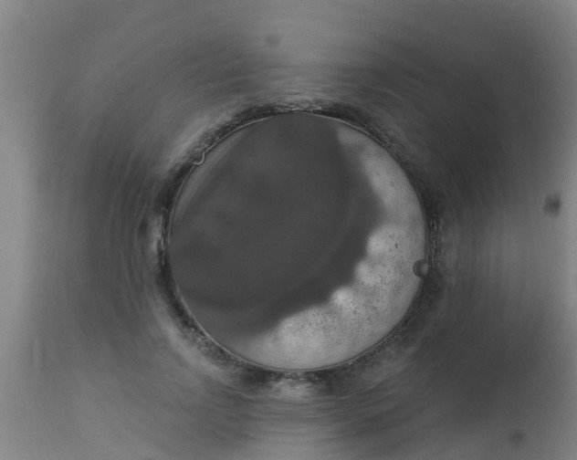 X0000112910742200909071534