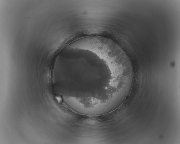 X0000112910743200909071534