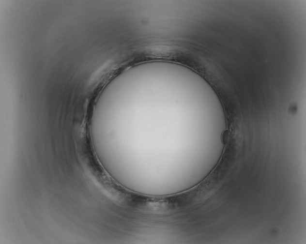 X0000112910744200909071534