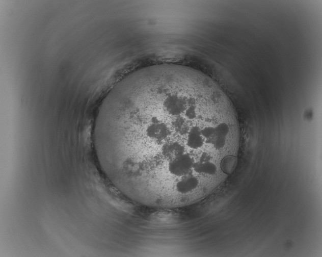 X0000112910745200909071534