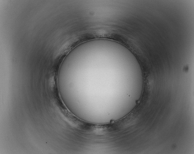 X0000112910746200909071534