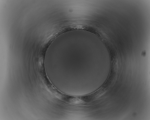 X0000112910747200909071534