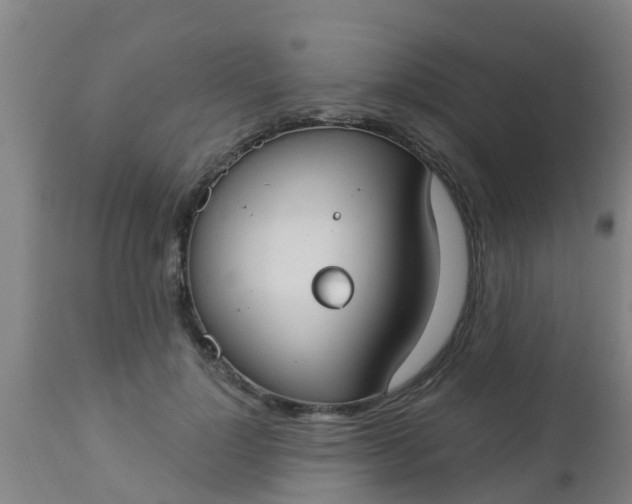 X0000112910748200909071534