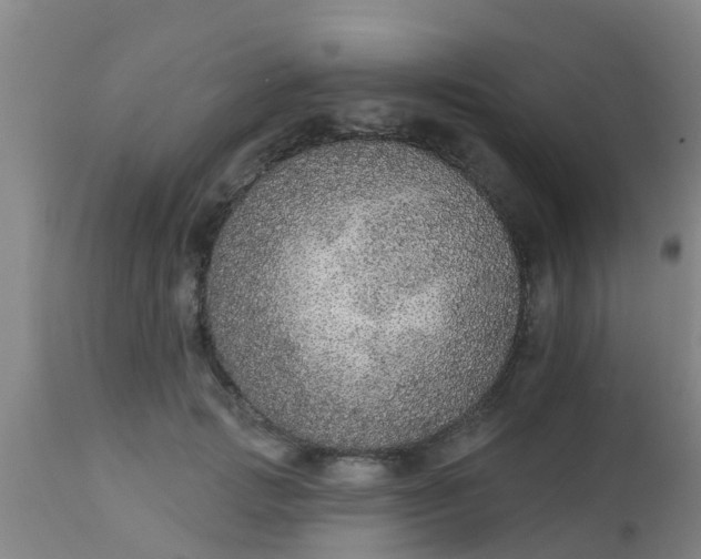 X0000112910749200909071534