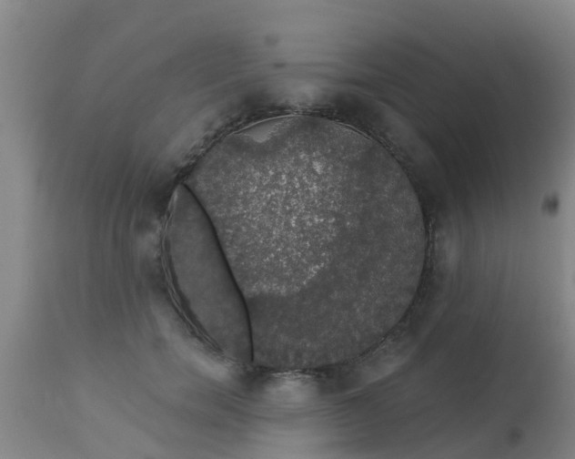 X0000112910750200909071534