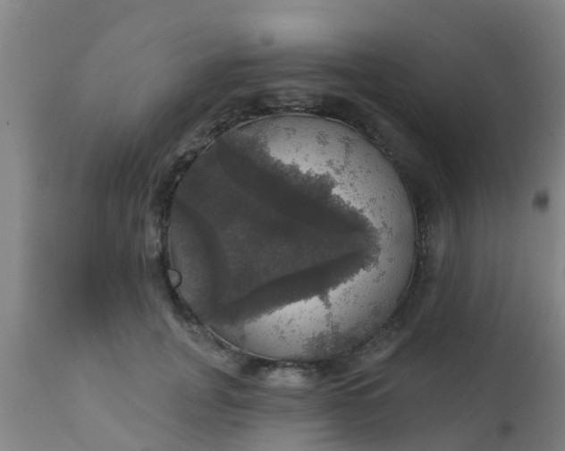 X0000112910751200909071534