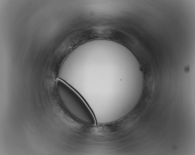 X0000112910752200909071534