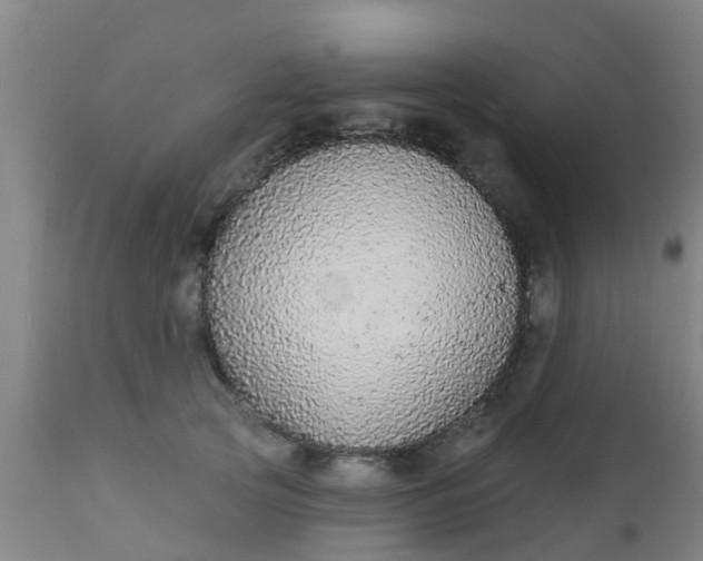 X0000112910753200909071534