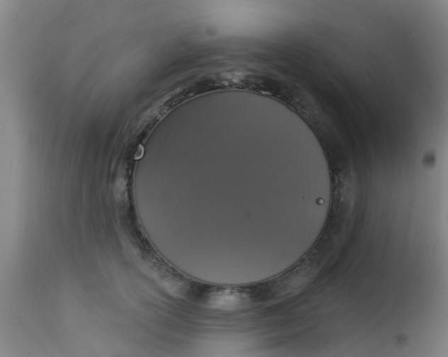 X0000112910754200909071534