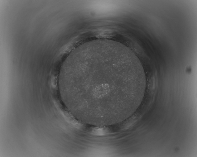 X0000112910755200909071534