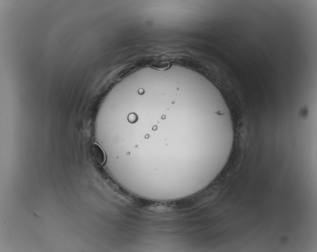 X0000112910756200909071534