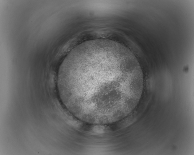 X0000112910757200909071534