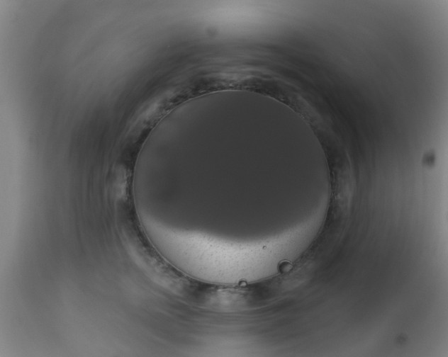 X0000112910758200909071534