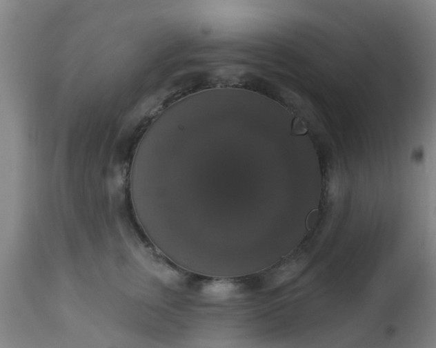 X0000112910759200909071534