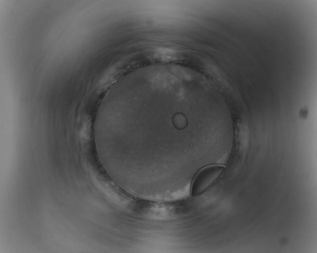 X0000112910760200909071534