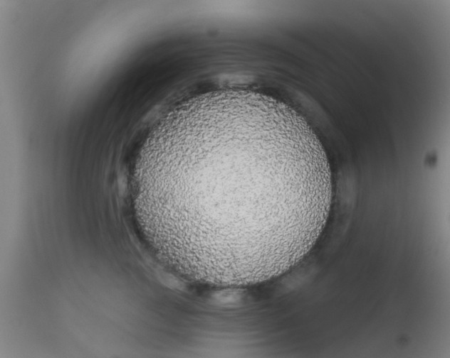 X0000112910761200909071534