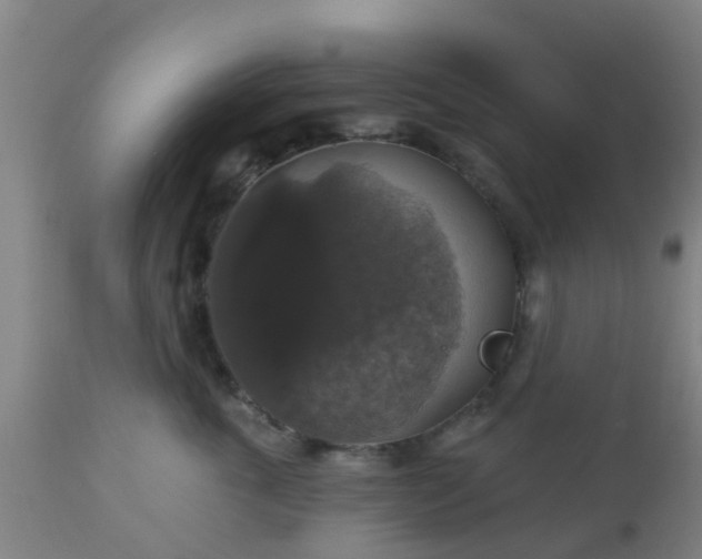 X0000112910763200909071534