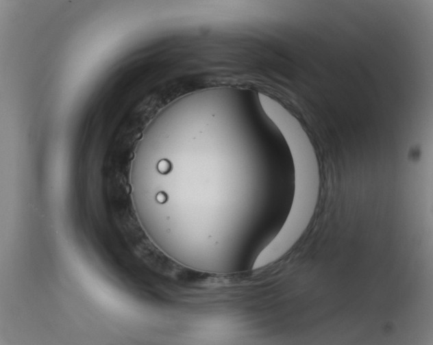 X0000112910764200909071534