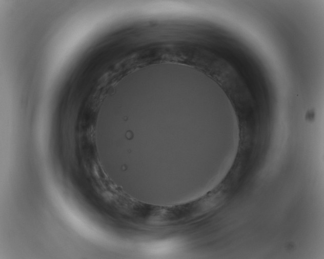 X0000112910765200909071534